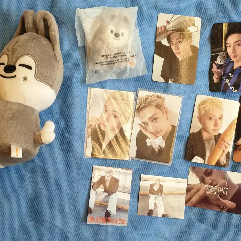 [BUNJANG] Stray Kids SKZOO Bang Chan Micro Photocard / 울프찬 찬 방찬 스키주 스키즈 스트레이키즈 straykids skzoo this 팝업 포카 마이크로