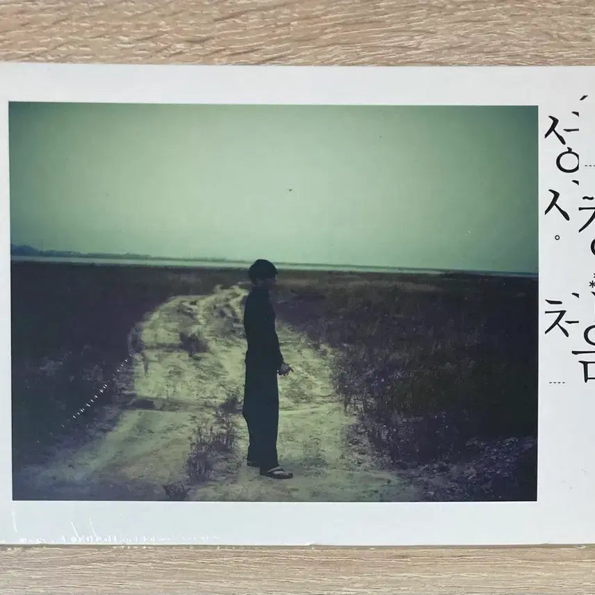 [BUNJANG] Sung Si Kyung - Vol. 7 &