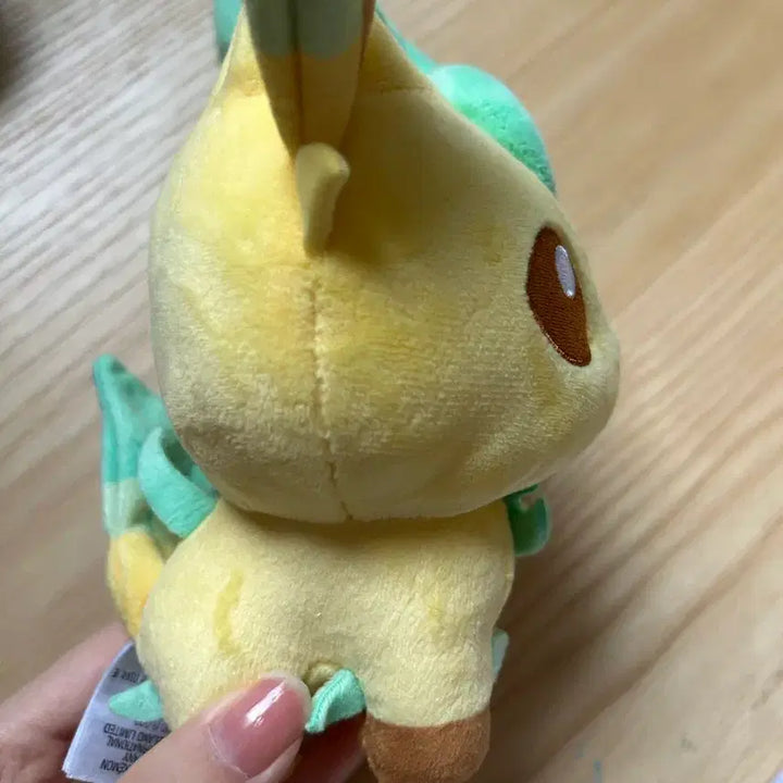 [BUNJANG] Pokemon Leafeon Medium Plush / 포켓몬 리피아 돌즈 중형 판매