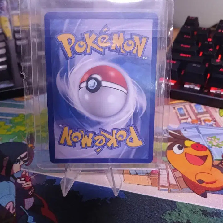 [BUNJANG] Pokemon Card Mega Luchabull EX SAR Full Art / 포켓몬 카드 메가 루차불 EX SAR