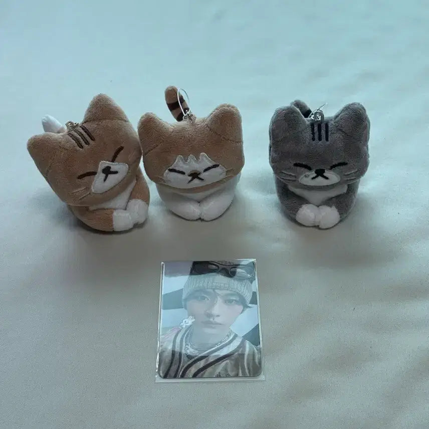 [BUNJANG] Stray Kids SKZ Lee Know Sundungdori Doll Keychain / 스트레이키즈 스키즈 리노 순둥도리 인형 키링 양도