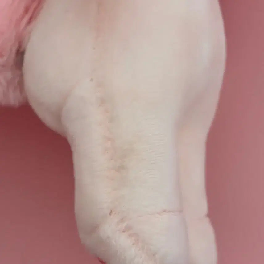 [BUNJANG] Demojuk Pink Mundaesom Doll 10cm / 핑크문대솜깅이 솜인형 10cm데못죽