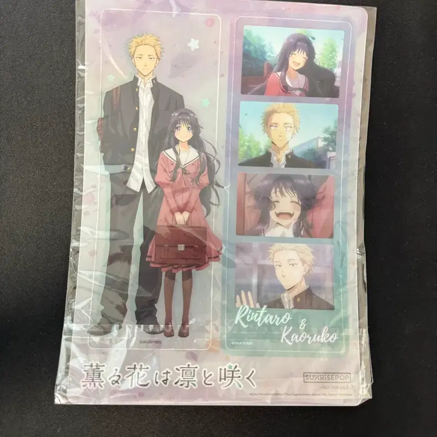 [BUNJANG] Koujyo Senka Rintaro Kaoruko Sunrise Pop Figure POB / 향기로운꽃은 늠름하게핀다 피규어 특전