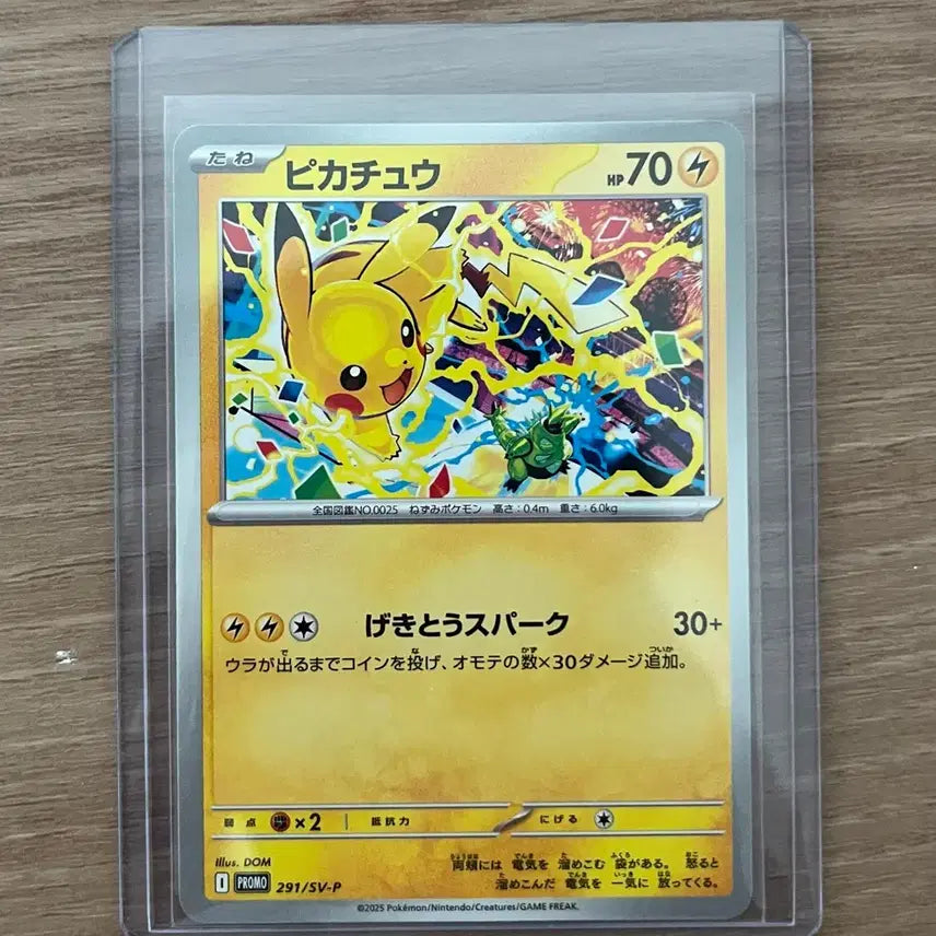 [BUNJANG] Pokemon Card Pikachu Promo Gym Promo / 포켓몬카드 피카츄 프로모 짐프로모