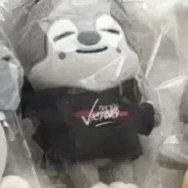 [BUNJANG] Stray Kids Bang Chan 15cm Mini Plush Doll / 울프찬 스키주 스키즈 방찬 인형 양도
