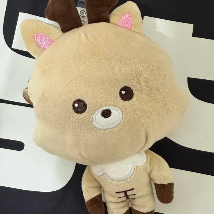[BUNJANG] Shanghai BounsRise Urak Bam Coin Pouch / 상하이 보스라이즈 우락밤 동전지갑