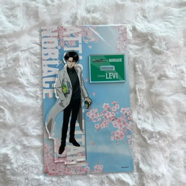 [BUNJANG] Attack on Titan Levi Ackerman Nobie&