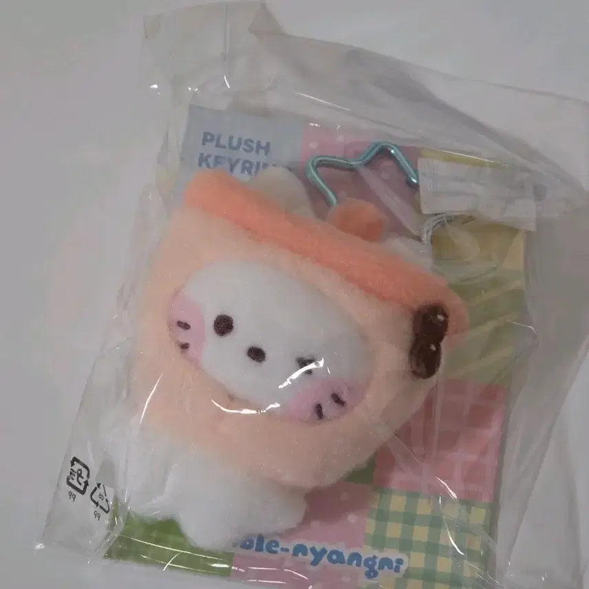 [BUNJANG] NCT WISH RIIZE Line Friends Yushi Plush Keychain / nct wish 엔시티 위시 라인프렌즈 위시니니 유우시 인형 키링 양도