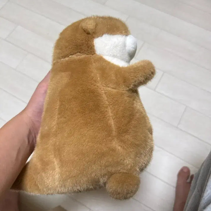 [BUNJANG] Otter Plush Doll / 인형