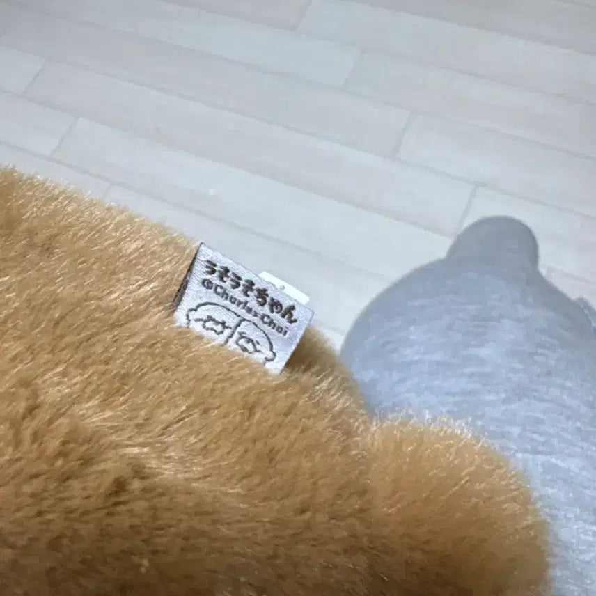 [BUNJANG] Otter Plush Doll / 인형