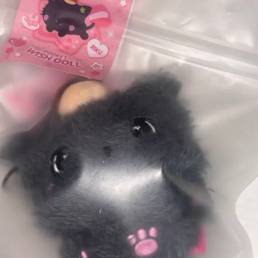 [BUNJANG] Pocket Wish Doll Kuri Unsealed / 포켓 위시돌 쿠리 포켓 쿠리 단순개봉