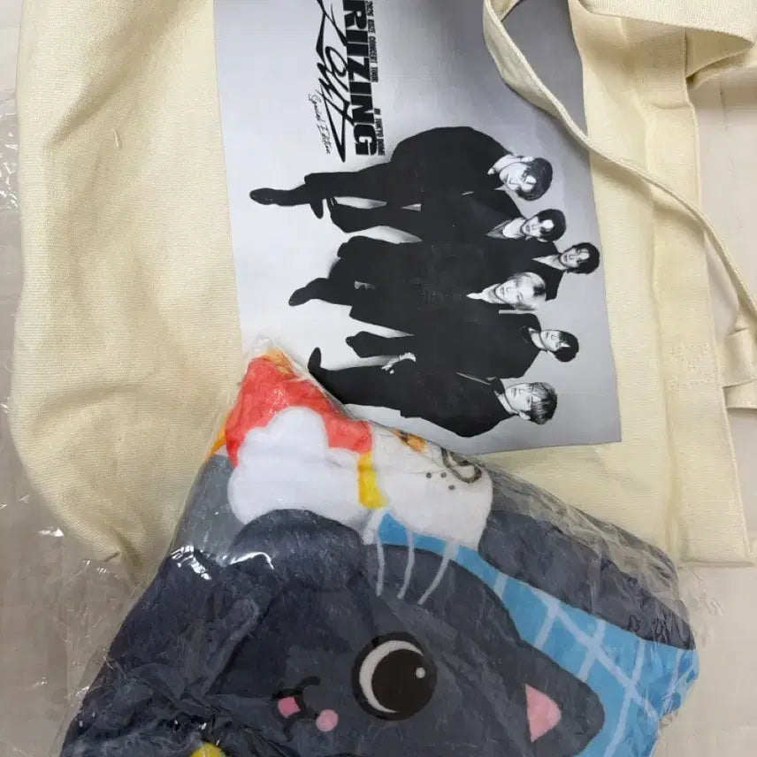 [BUNJANG] RIIZE Tokyo Dome Premium Seat Blanket Eco Bag / 라이즈 도쿄돔 프리미엄시트 담요 에코백