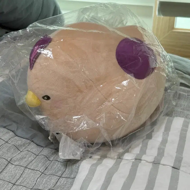 [BUNJANG] Nijisanji Hibari Watari Sealed Plush Doll (Swallow) / 미개봉) 니지산지 히바리상 누이 (인형 종달새 돼지새 볼택션 카페조 와타라이 히바리)