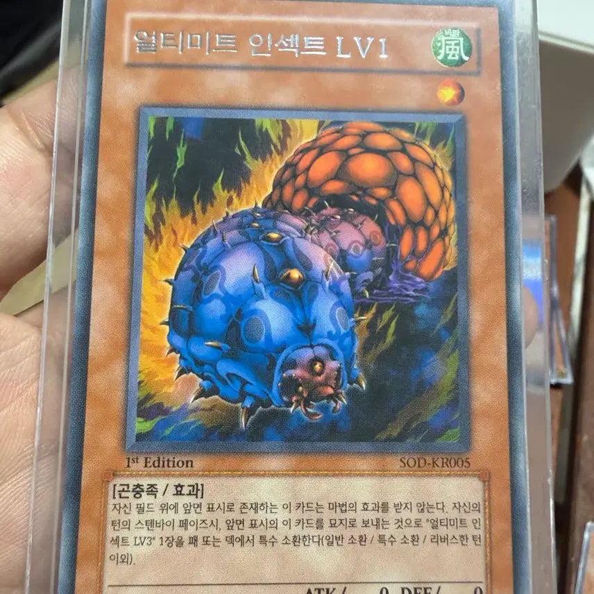 [BUNJANG] Ultimate Insect LV1 First Edition Rare SSS / 얼티미트 인섹트 LV1 퍼스트에디션 레어 sss