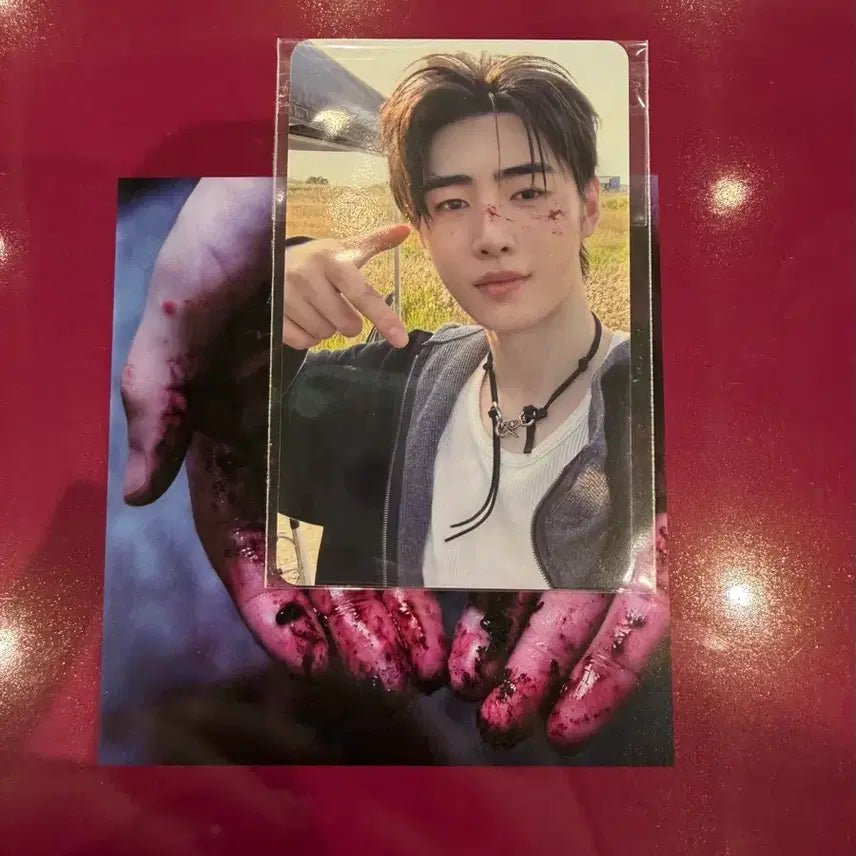 [BUNJANG] ENHYPEN Sunghoon Everline Lucky Draw Photocard (Sealed) / 엔하이픈 에버라인 박성훈 미개봉 특전 포카 양도