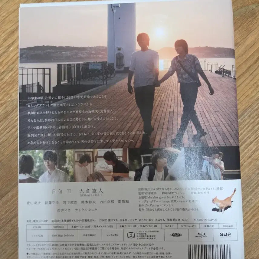 [BUNJANG] Neohagorameon Sarang-eul Haebwado Blu-ray First Edition / 너하고라면 사랑을 해봐도 Blu-ray 초회판