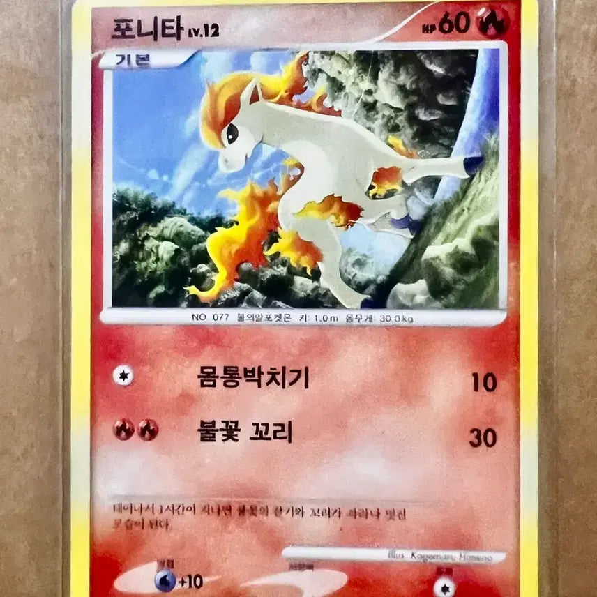 [BUNJANG] Pokémon Card Ponyta Lv.12 (2010 Korean Edition) / [포켓몬 카드]  포니타 Lv.12