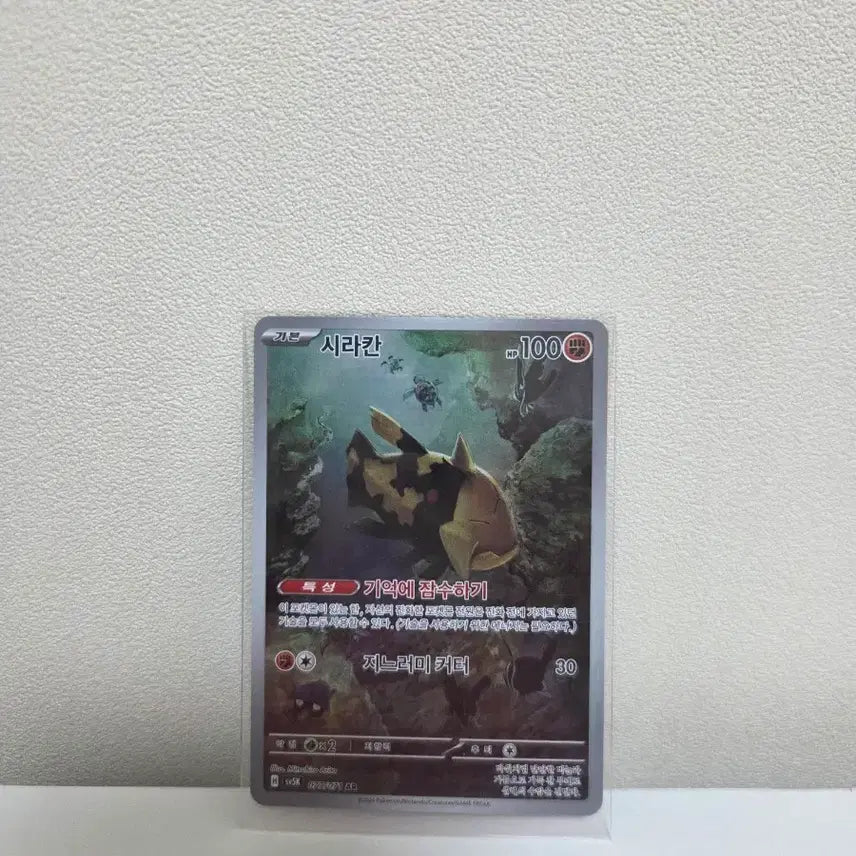 [BUNJANG] Shirakan AR / 시라칸 AR