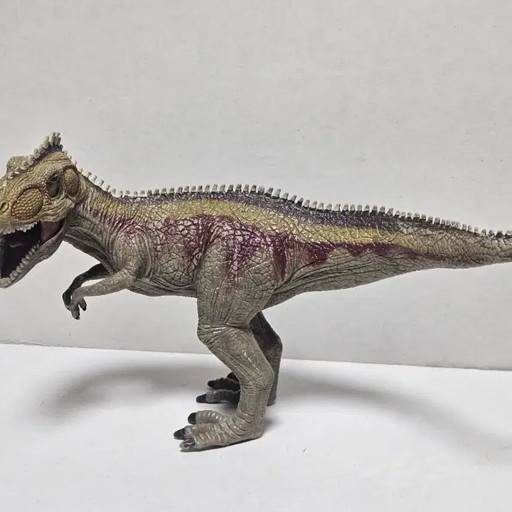 [BUNJANG] Schleich Gigantosaurus Dinosaur Figure Toy (2011 Edition) / 슐라이히 기가노토사우루스 공룡 피규어 장난감 11년판