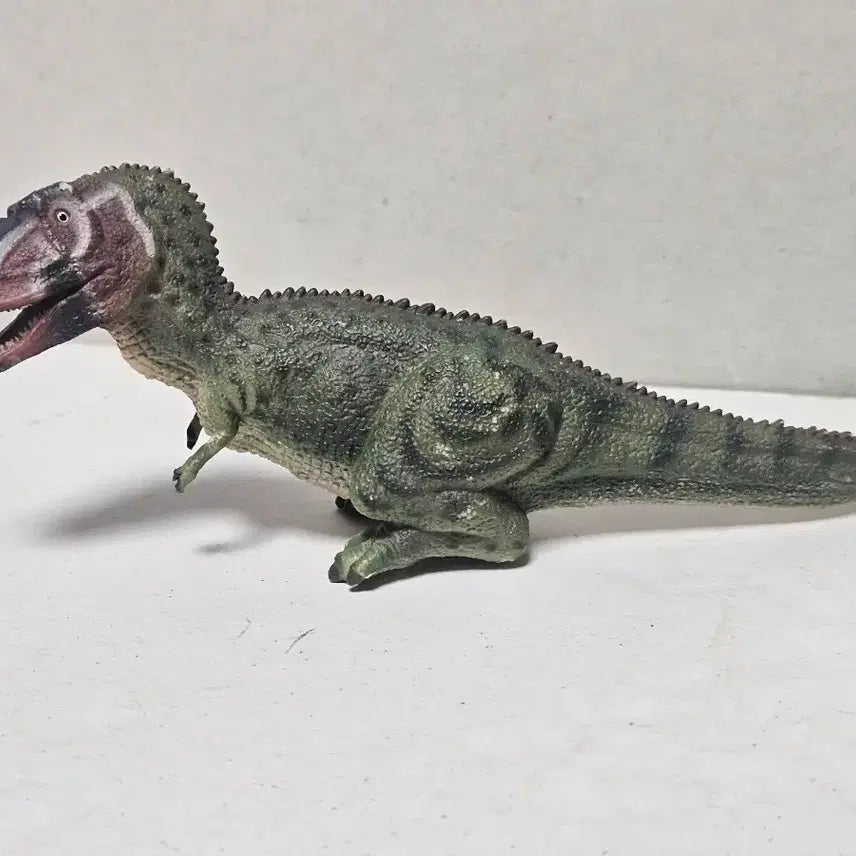 [BUNJANG] Collecta Daspletosaurus Dinosaur Figure Toy 2013 Edition / 컬렉타 다스플레토사우루스 공룡 피규어 장난감 완구 13년판