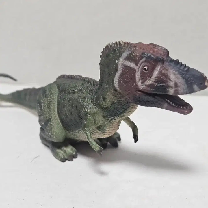 [BUNJANG] Collecta Daspletosaurus Dinosaur Figure Toy 2013 Edition / 컬렉타 다스플레토사우루스 공룡 피규어 장난감 완구 13년판