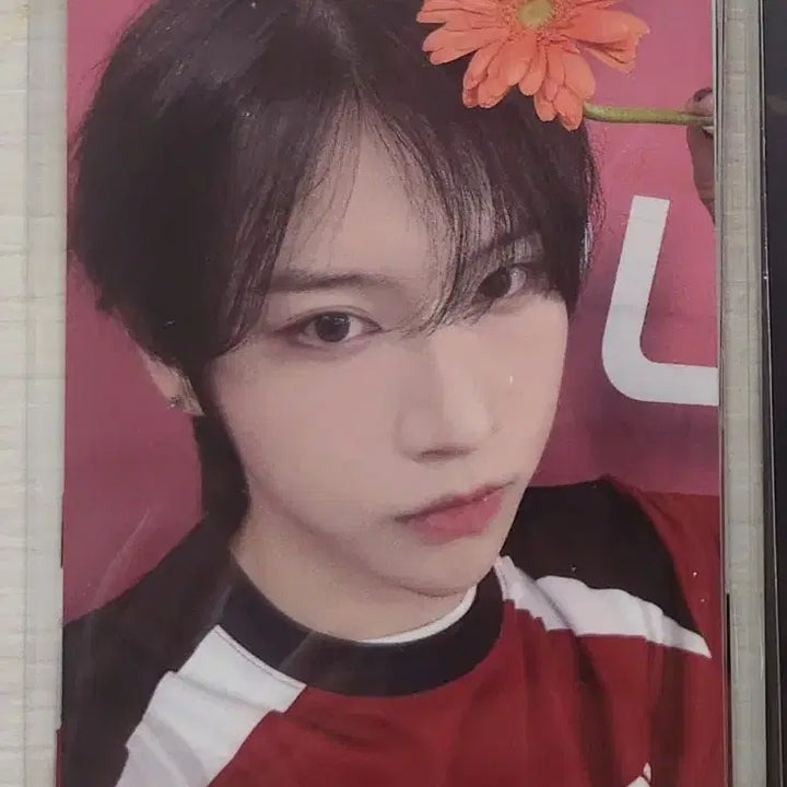 [BUNJANG] Modyssey Fanclub Kit Home Race Meetup Edition Photocard / 모디세이 modyssey 팬클럽 키트 홈레이스 밋그 입장포카
