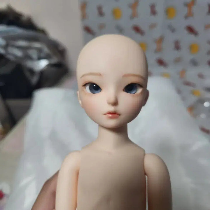 [BUNJANG] BJD (Ball-Jointed Doll) Winter Rain Sprinkles Yuhwa USD / 구체관절인형 겨울비 스프링클유화 usd 판매합니다