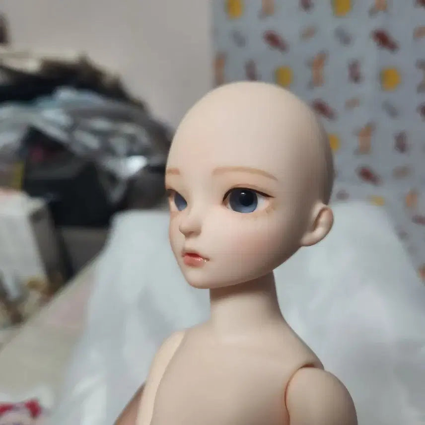 [BUNJANG] BJD (Ball-Jointed Doll) Winter Rain Sprinkles Yuhwa USD / 구체관절인형 겨울비 스프링클유화 usd 판매합니다