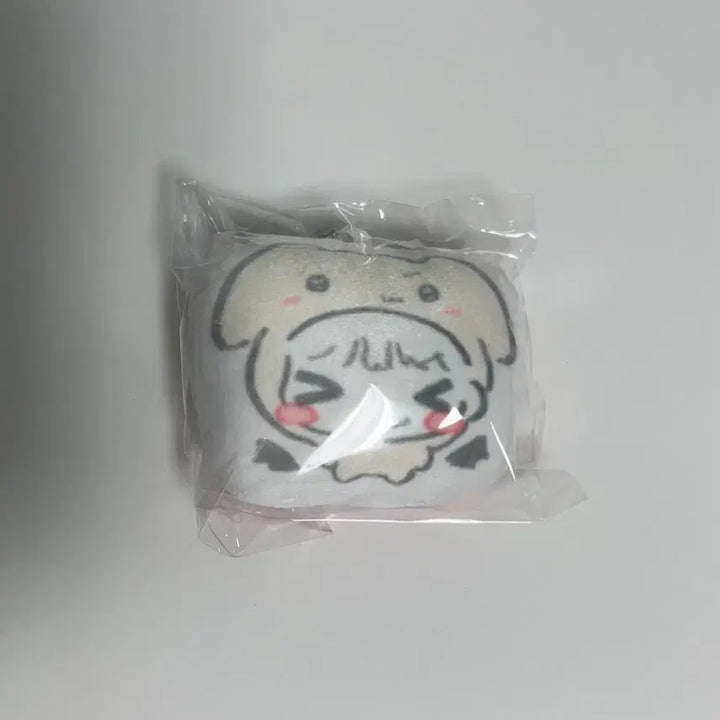 [BUNJANG] BOYNEXTDOOR Myung Jaehyun Unofficial Goods Doll / 보이넥스트도어 명재현 비공굿 인형