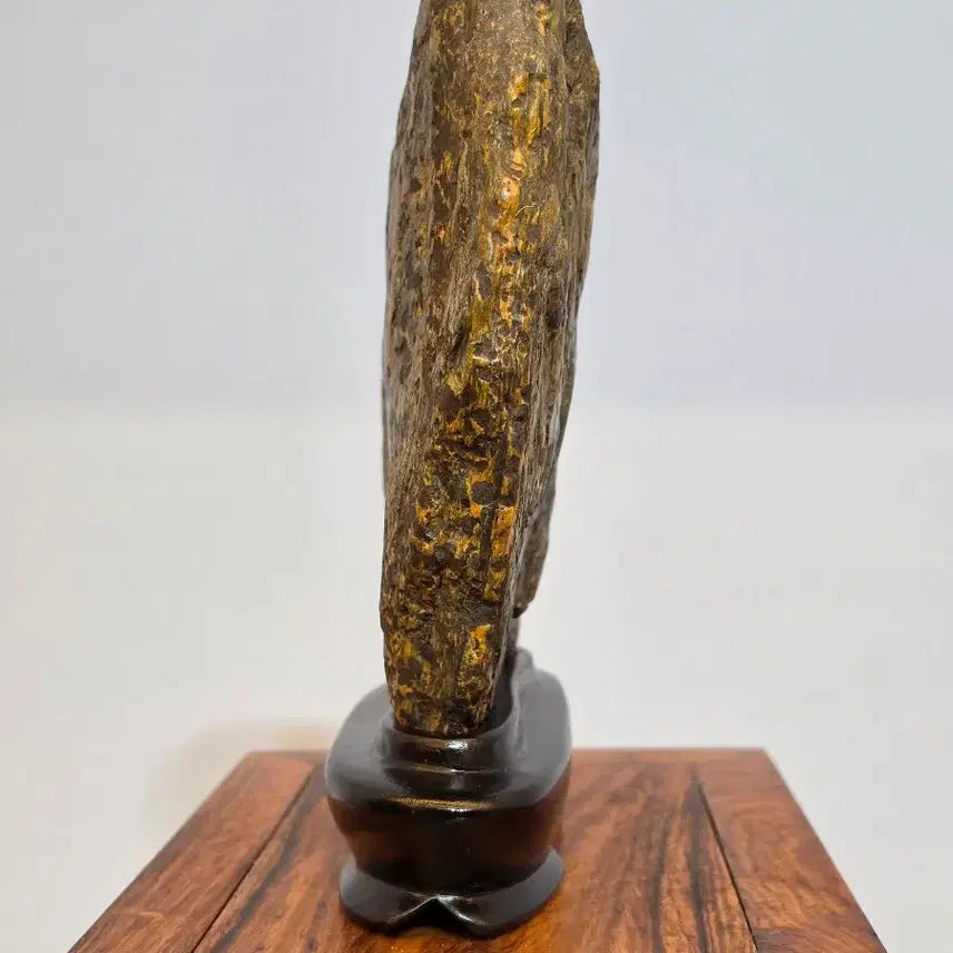 [BUNJANG] Sunchang Leopard-Skin Stone Display Stone / 26082308 석질과 변화가 멋진 순창호피석 수석 팝니다