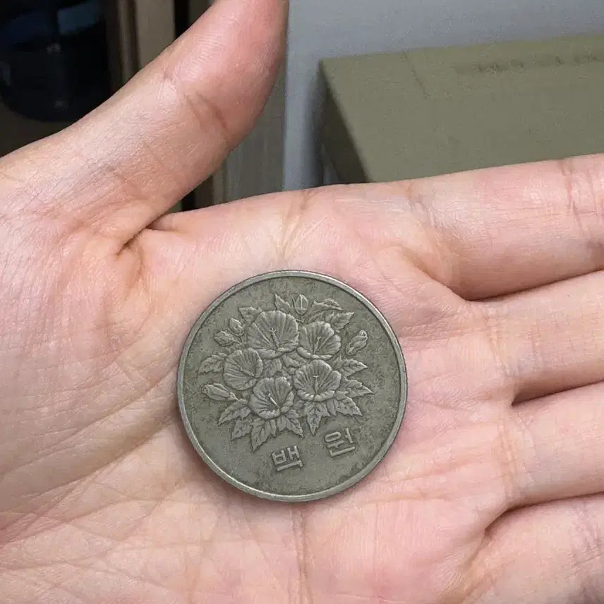 [BUNJANG] 1981 Fifth Republic 100 Won Coin / 1981년 제5공화국 백원 동전