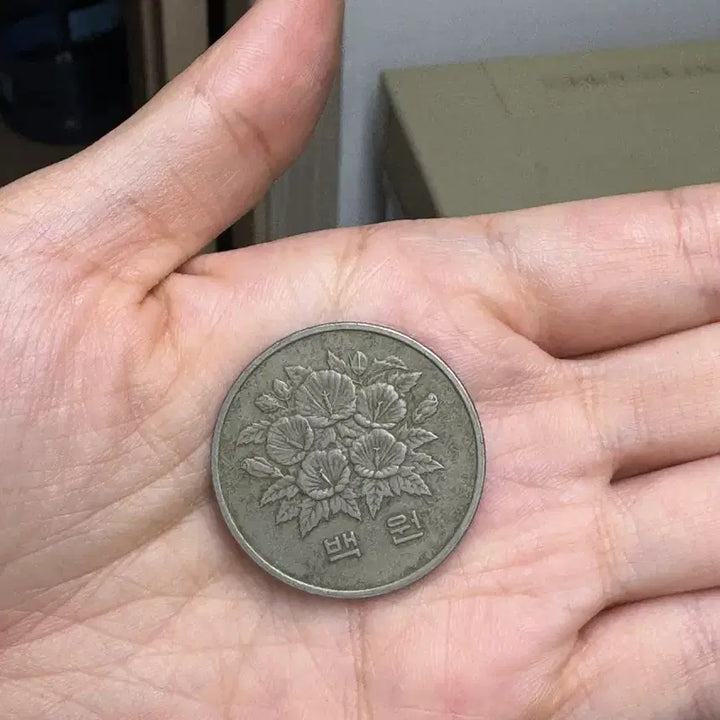 [BUNJANG] 1981 Fifth Republic 100 Won Coin / 1981년 제5공화국 백원 동전
