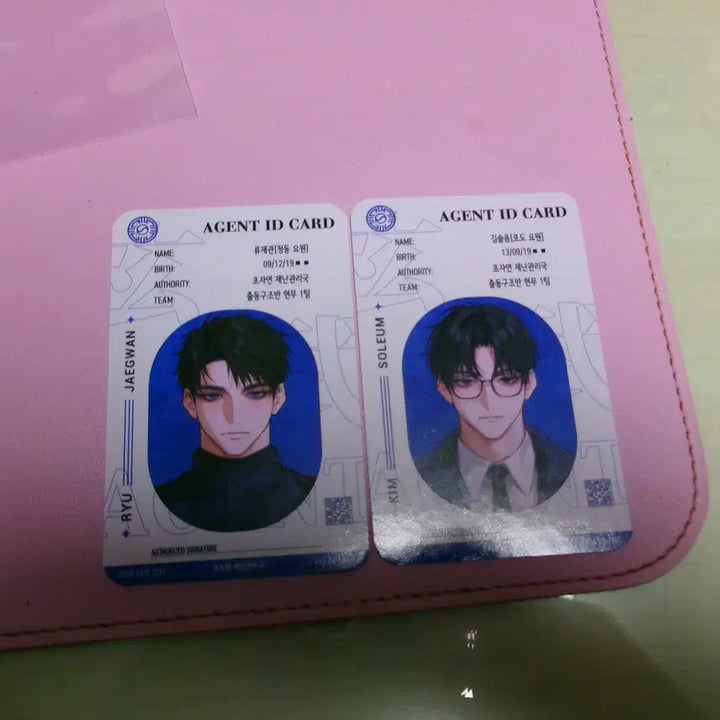 [BUNJANG] Gwedamchulgeun Ryujeagwan &amp; Podoo (Kim Soleum) Photocard Bundle Set / 괴담출근 괴출 포토카드 판매