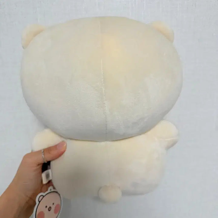 [BUNJANG] Gongdolzzing Rabbit Plush 27cm Medium Size / 공돌찡 토끼찡 인형 27cm 중형인형 판매합니당~