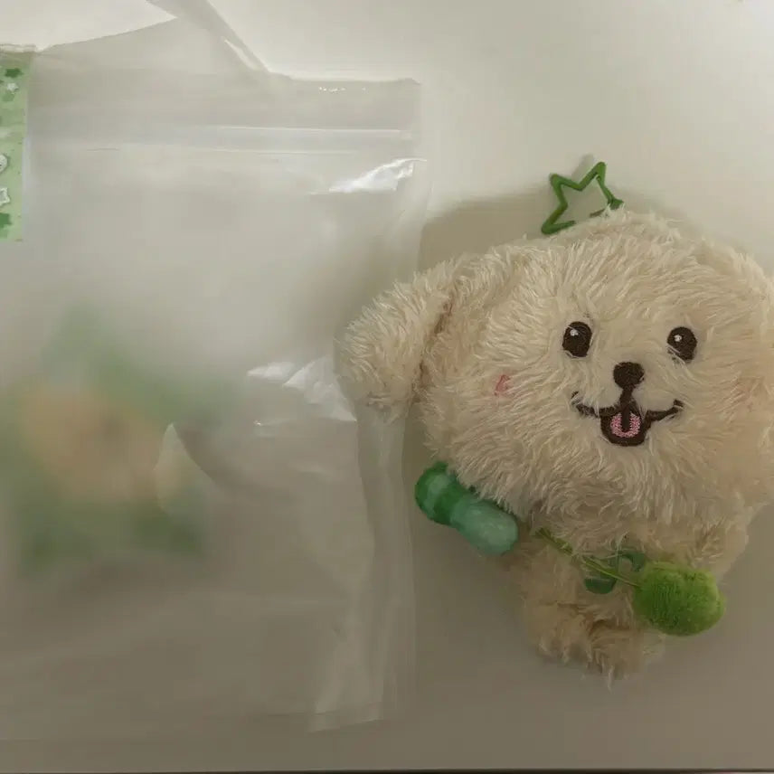 [BUNJANG] NCT WISH Jaehee Dangtreever Wish Doll / 엔시티위시 재희 댕트리버 위시돌