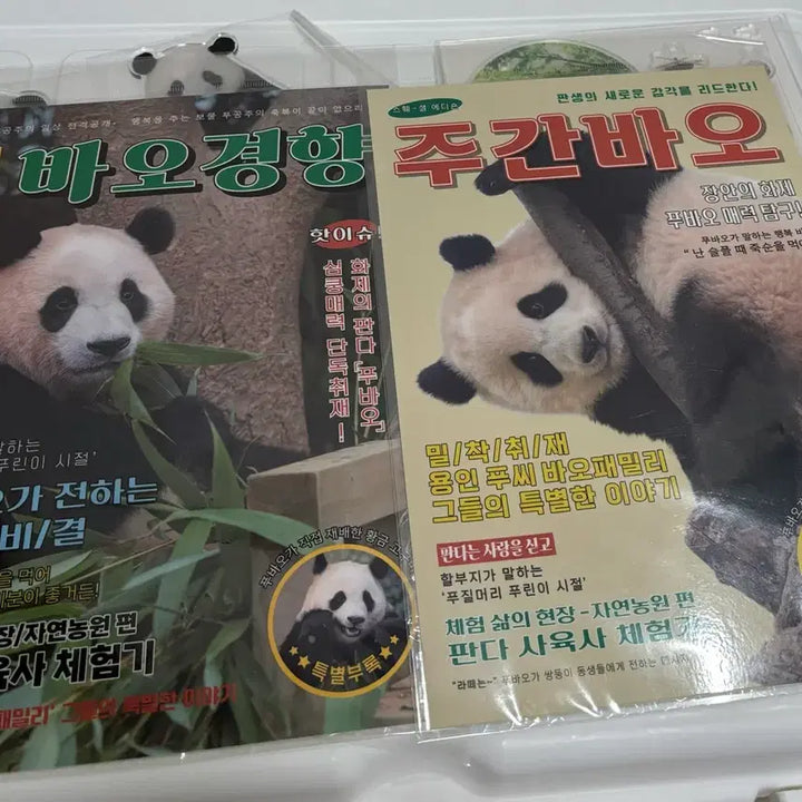[BUNJANG] Fu Bao First Edition Merchandise Bundle Set / 푸바오 초판굿즈 일괄판매