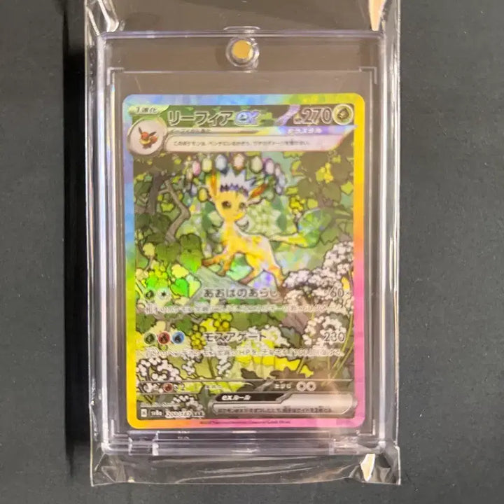 [BUNJANG] Terrastal Festa Riffa SAR Japanese Graded Card / 테라스탈페스타 리피아 sar (일판) 등급용