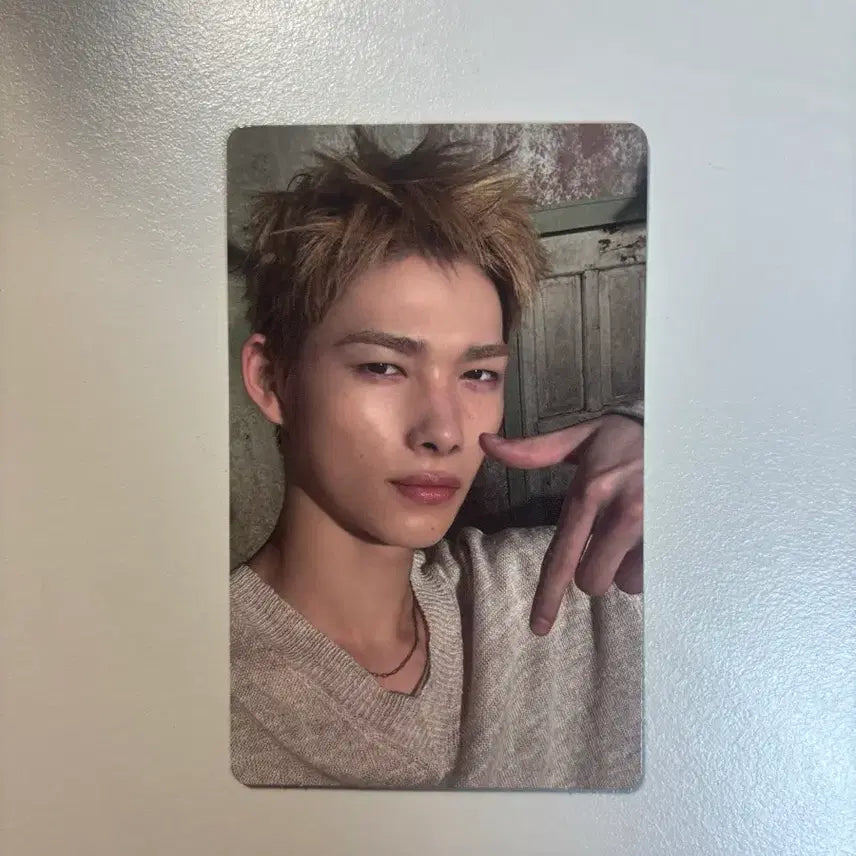[BUNJANG] ENHYPEN Weverse Shop Lucky Draw Photocard / 엔하이픈 위버스샵 럭드 양도