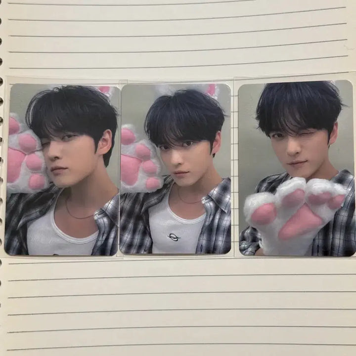 [BUNJANG] Kim Jaejoong Flower Garden Cat Photocard Bundle Set / 김재중 플라워가든 고양이 포카 일괄