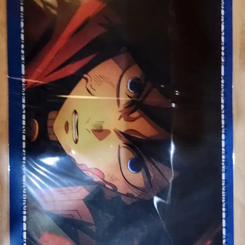 [BUNJANG] Demon Slayer Giyu Tomioka Mugen Train Luncheon Mat Case / 귀멸 유포 기유 무한성 런천매트 케이스