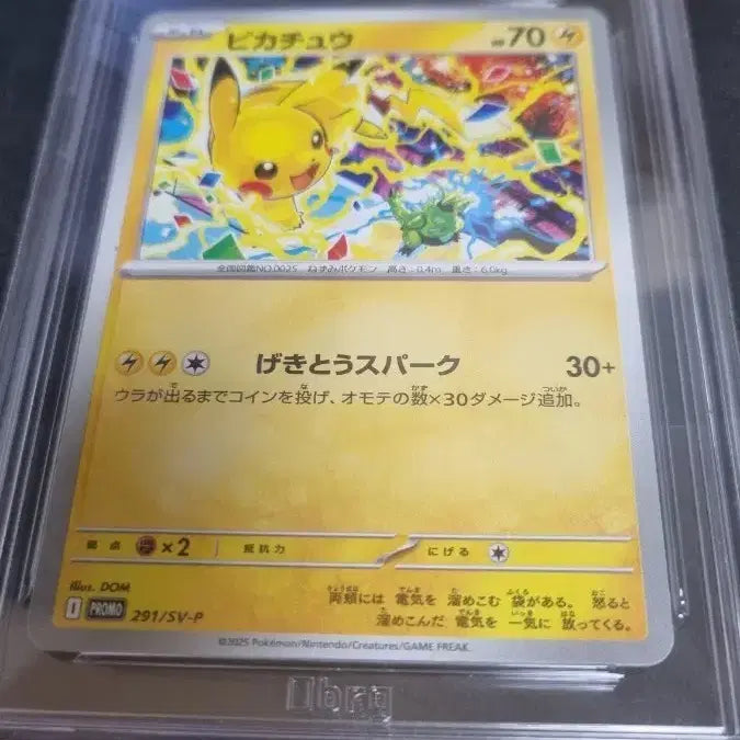 [BUNJANG] Pokemon Card Pikachu 291/SV-P PSA 10 / 포켓몬 카드 피카츄 10점 291/SV-P