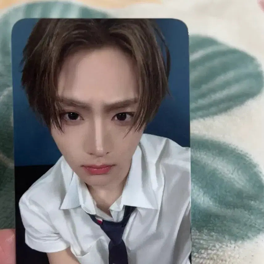 [BUNJANG] Alpha Drive One SD1 Sangwon Nocoffee MD Photocard / 알파드라이브원 알디원 상원 노커피 MD 포카