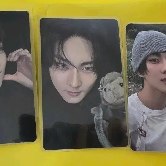 [BUNJANG] THE SIN : VANISH Yang Jeongwon Bundle Set Photocard / THE SIN : VANISH 정원 포카 일괄 판매 더 신 배니쉬