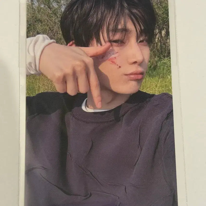 [BUNJANG] ENHYPEN Sunwoo Everline Lucky Draw Photocard / 엔하이픈 에버라인 럭드 선우 양도