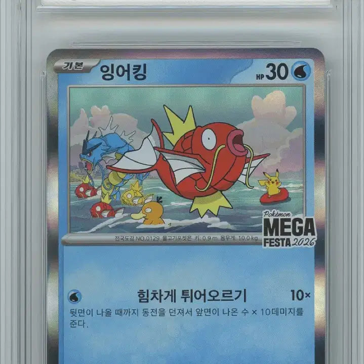 [BUNJANG] Pokemon Magikarp Promo Card (BRG Graded 9) / 포켓몬카드 잉어킹 프로모 BRG9