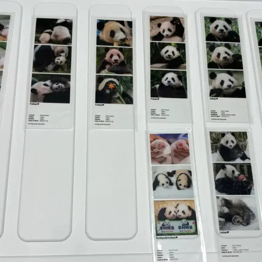 [BUNJANG] FuBao The Hyundai Photo Booth Strip Set / 푸바오 더현대인생네컷 9종 일괄판매