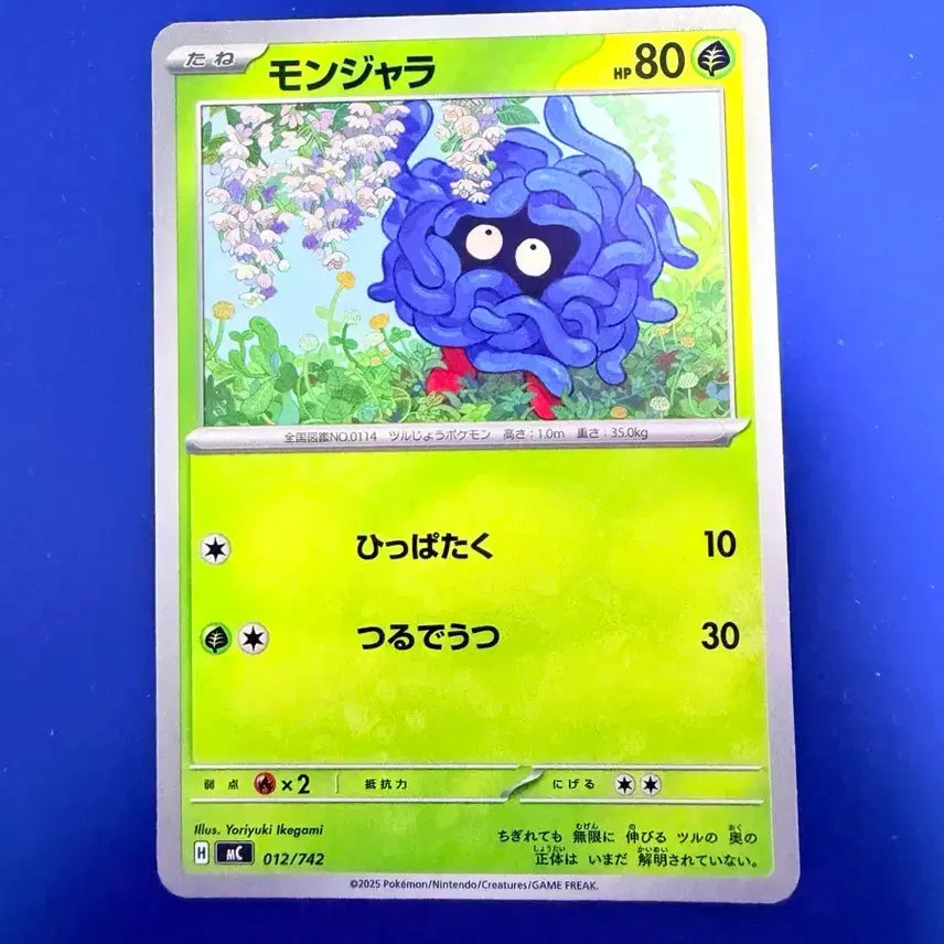 [BUNJANG] Pokemon Card 100 Deck Exeggutor Japanese / 포켓몬카드 100덱 덩쿠리 일판 카드