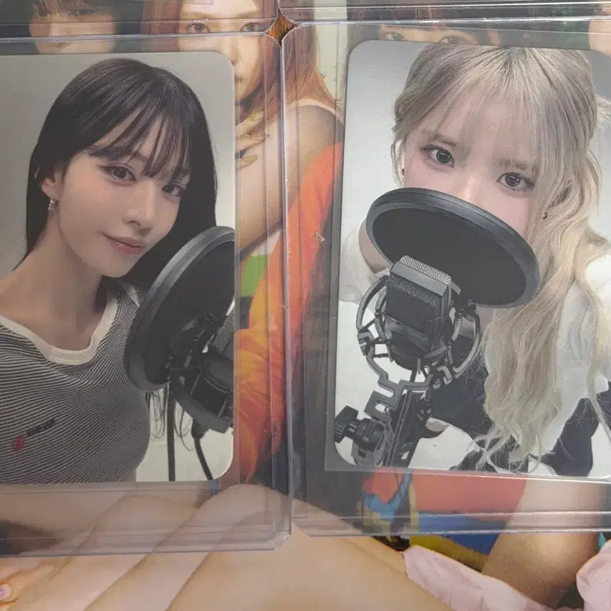 [BUNJANG] fromis_9 Chaeyoung Hayoung Dingo Outfit Photocard Bundle Set / 딩고착장 특전 채영 하영 프로미스나인