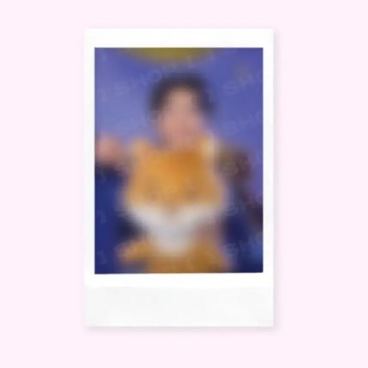 [BUNJANG] DAY6 Giant Petit Merls Photocard Set (Sealed, includes Polaroids) / 데이식스 자이언트 쁘띠멀즈 자쁘멀 케 미개봉 폴라포함