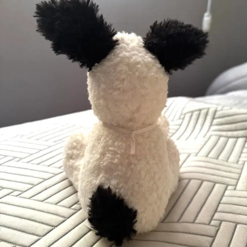 [BUNJANG] Jellycat Rupperty Puppy Junior Genuine / jellycat 루퍼티 퍼피 주니어 젤리캣 정품